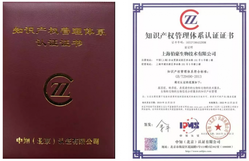 伯豪生物榮獲知識產(chǎn)權管理體系認證證書