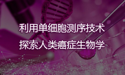 利用單細(xì)胞測(cè)序技術(shù)探索人類癌癥生物學(xué)