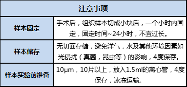 FFPE 樣本準(zhǔn)備、儲(chǔ)存及運(yùn)輸