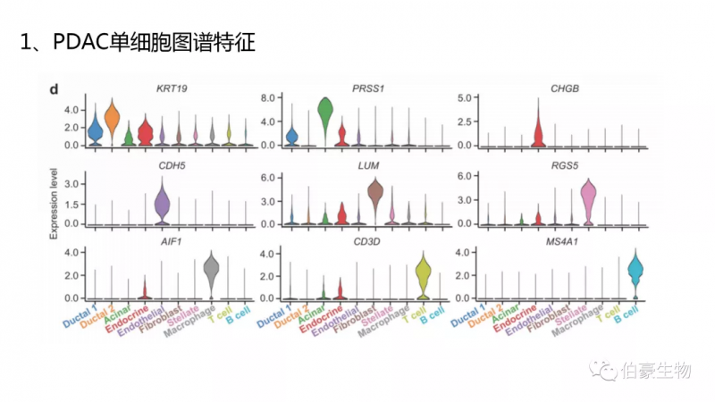  伯豪生物 單細(xì)胞測序服務(wù) 