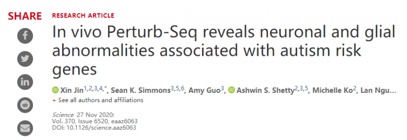 體內(nèi) Perturb-Seq 揭示與自閉癥風險基因相關的神經(jīng)元和神經(jīng)膠質異常