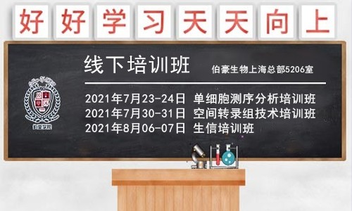 重磅！暑期系列培訓班開課通知，6 月報名可享優(yōu)惠！