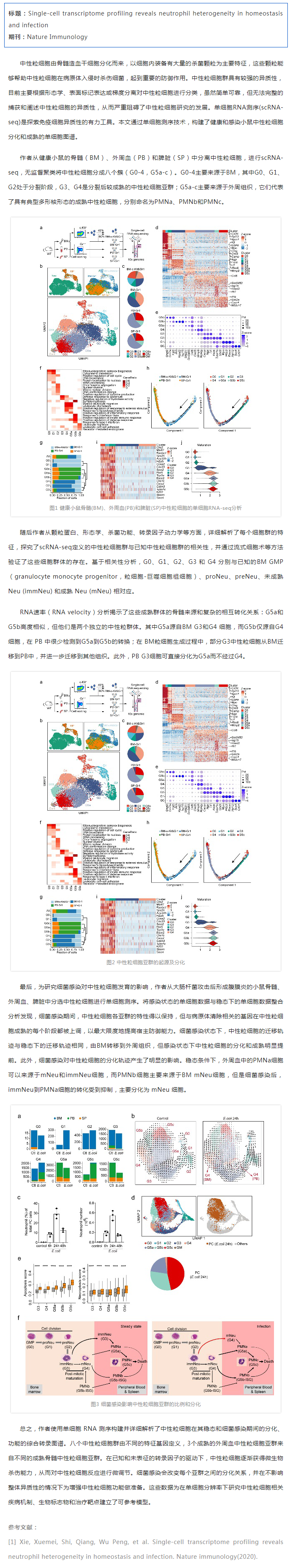 文獻解讀_單細(xì)胞 RNA 測序揭示健康和細(xì)菌感染小鼠中的中性粒細(xì)胞異質(zhì)性