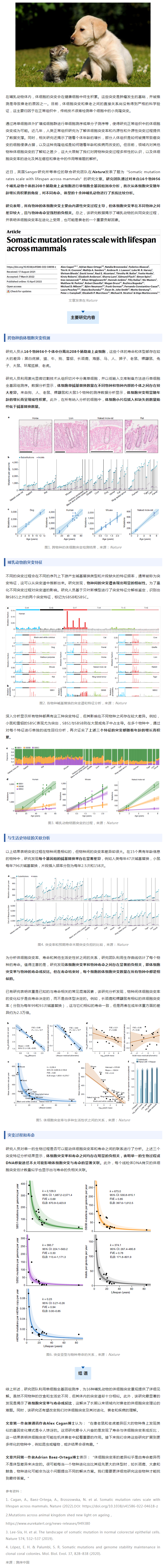 Nature _ 為何動物的壽命差異那么大？跨物種單細(xì)胞測序揭示長壽密碼