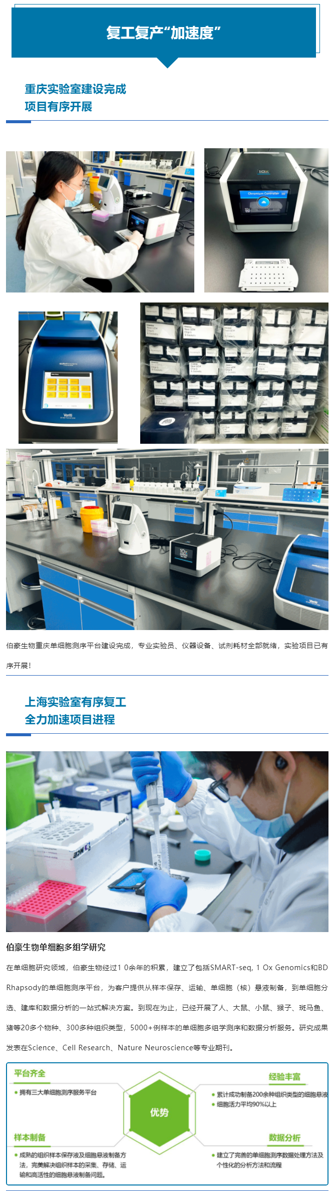 上海重慶齊頭并進(jìn)，全力以“復(fù)”跑出復(fù)工復(fù)產(chǎn)“加速度”