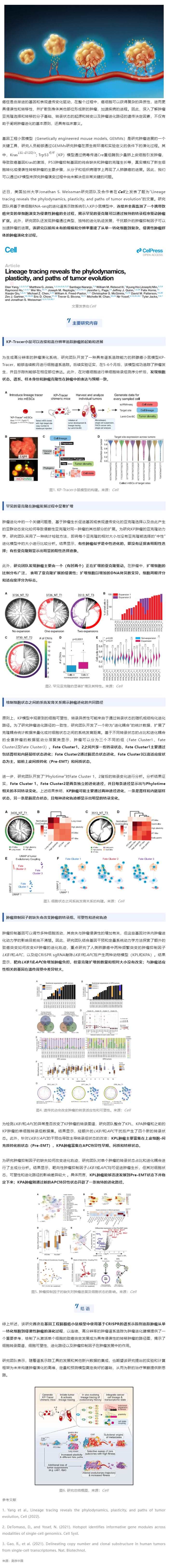 Cell| 首次大規(guī)模高分辨率揭示從一個攜帶致癌突變的單細胞演變?yōu)榍忠u性腫瘤的全過程