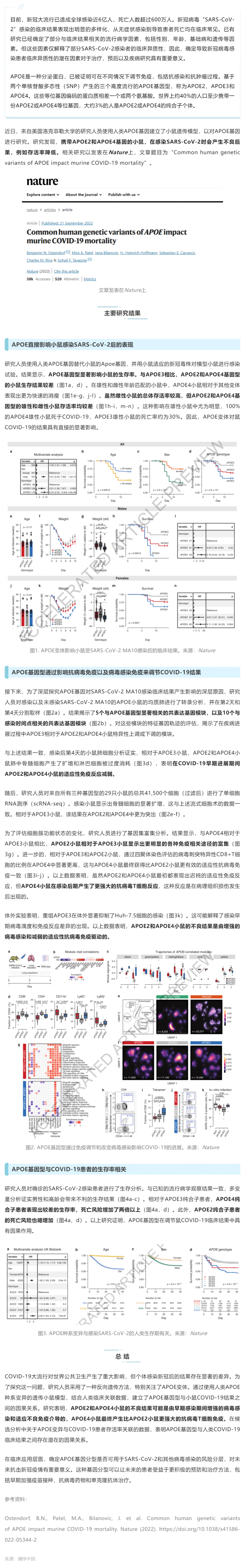 Nature _ 為什么有些人感染新冠后死亡風(fēng)險(xiǎn)高？研究揭示與 APOE 基因型有關(guān)