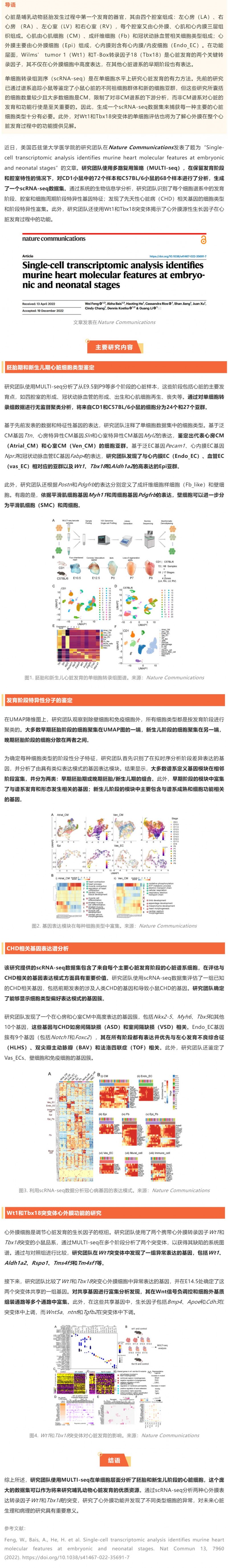 2023-01-31-Nat-Commun 發(fā)表胚胎及新生兒期小鼠心臟單細(xì)胞轉(zhuǎn)錄組圖譜，揭示先天性心臟病相關(guān)基因的細(xì)胞類型及