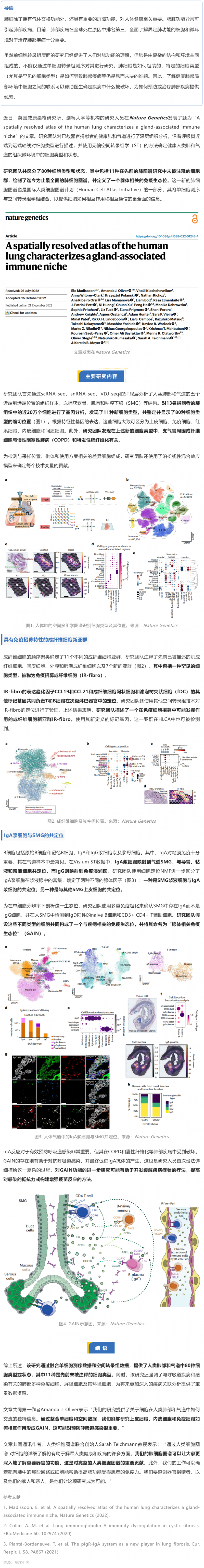 Nat Genet 發(fā)布迄今最全面的人類肺細胞空間圖譜，首次揭示腺體相關的免疫生態(tài)位