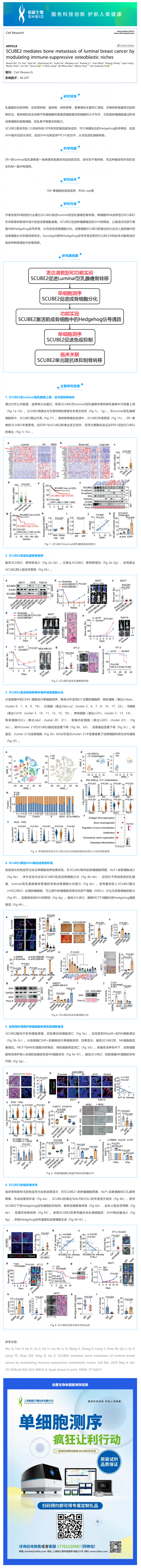 單細胞項目文章 _ SCUBE2 調(diào)控免疫抑制的成骨細胞微環(huán)境介導 luminal 型乳腺癌的骨轉(zhuǎn)移