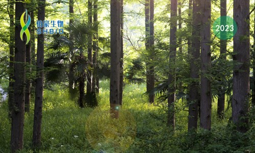 會議邀請 | 伯豪生物誠邀您參加第八屆中國林業(yè)學(xué)術(shù)大會