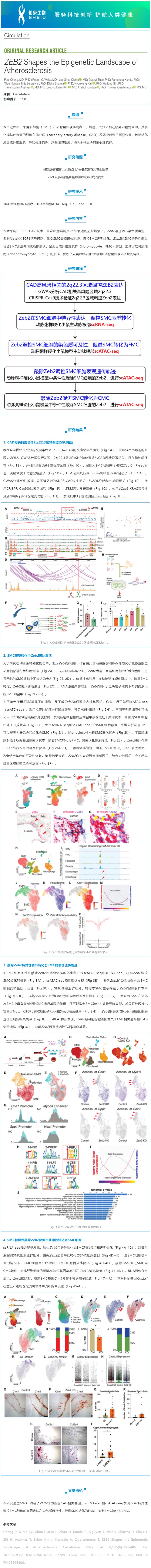 文獻解讀_scRNA-seq 聯(lián)合 scATAC-seq 解析 ZEB2 調(diào)控動脈粥樣硬化表觀遺傳景觀