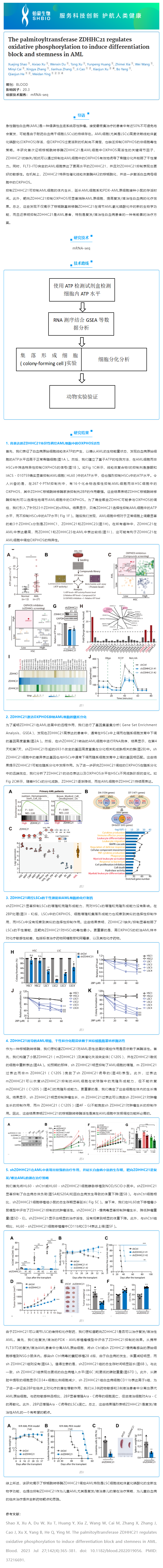 2023-08-14 mRNA-seq 項目文章_棕櫚酰轉(zhuǎn)移酶 ZDHHC21 調(diào)節(jié)氧化磷酸化誘導 AML 分化阻滯和干性
