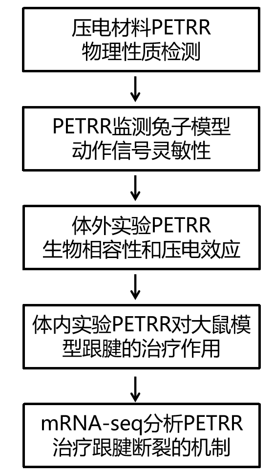 伯豪生物研究設(shè)計(jì) mRNA-seq 項(xiàng)目文章