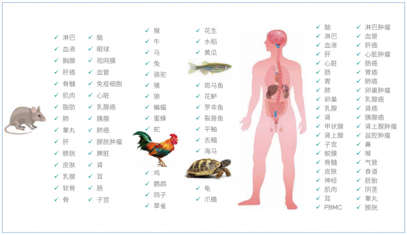  伯豪生物華大設(shè)備單細(xì)胞測序適用樣本類型 