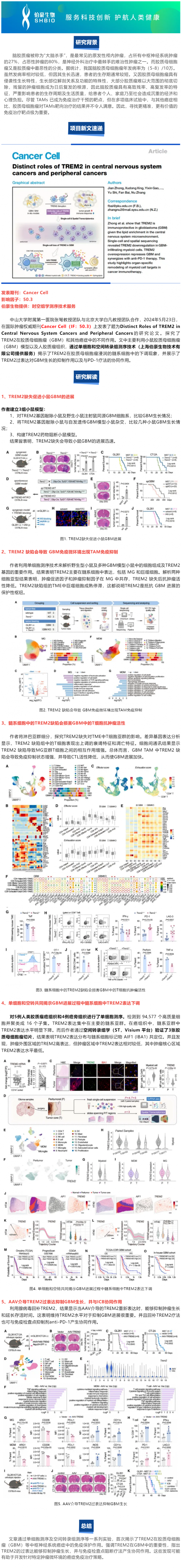 524 項(xiàng)目文章 |Cancer Cell-TREM2 在中樞神經(jīng)系統(tǒng)癌癥和外周腫瘤中的獨(dú)特作用