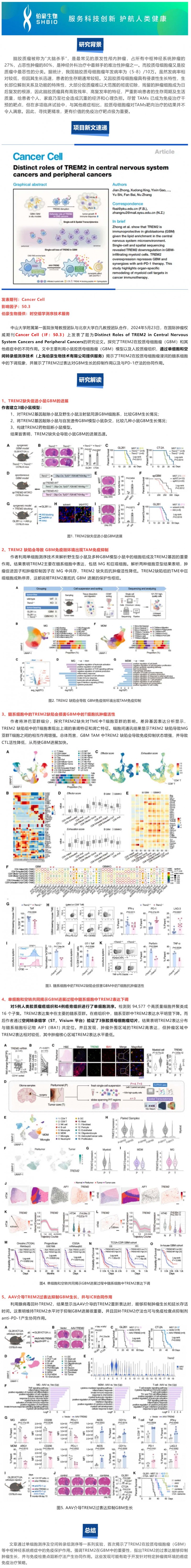 項(xiàng)目文章 |Cancer Cell-TREM2 在中樞神經(jīng)系統(tǒng)癌癥和外周腫瘤中的獨(dú)特作用
