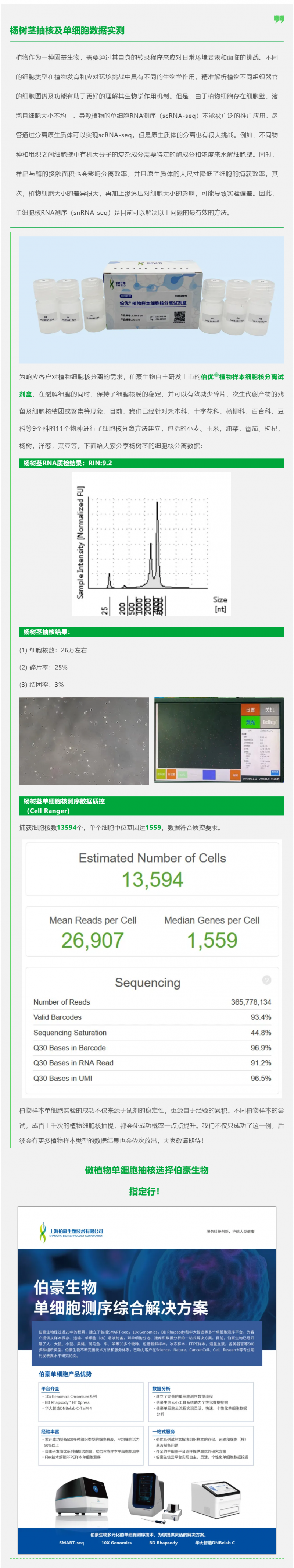 植物抽核哪家強(qiáng)！伯優(yōu)試劑來幫忙！楊樹莖抽核及單細(xì)胞數(shù)據(jù)實測