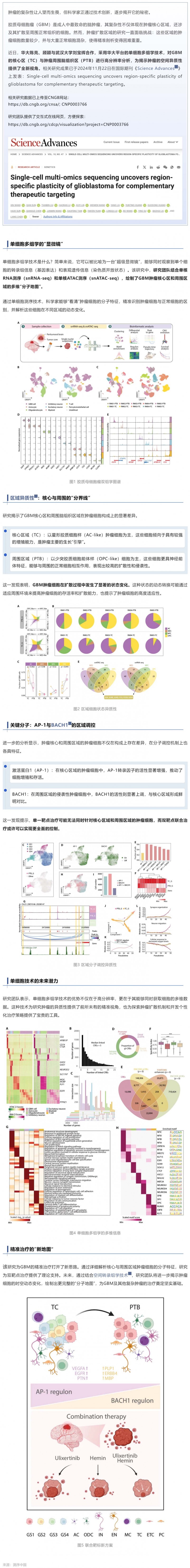 Sci Adv _ 陳亮_劉寶輝_顧穎利用單細胞多組學(xué)探秘膠質(zhì)瘤的空間異質(zhì)性