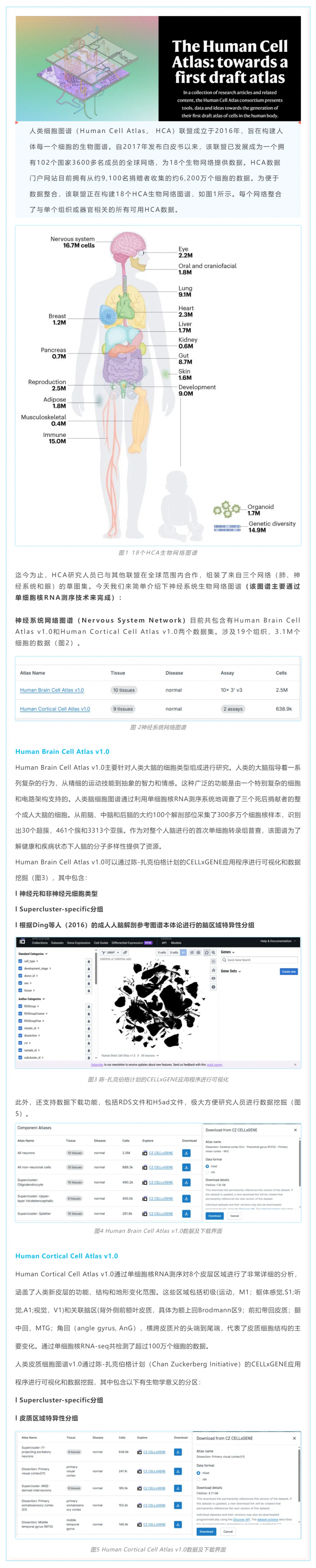 人類細胞圖譜計劃草圖第一版完成——神經(jīng)系統(tǒng)細胞圖譜