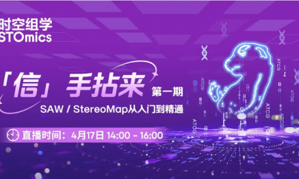 「信」手拈來第一期，SAW/StereoMap 從入門到精通
