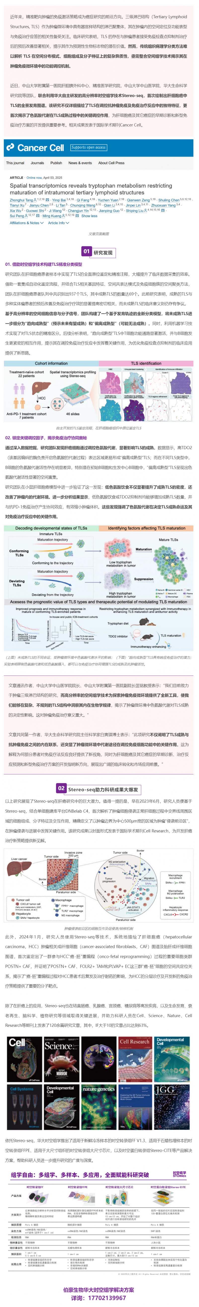 Cancer Cell _ 首個肝細胞癌中 TLS 的全景發(fā)育圖譜！Stereo-seq 助力肝癌研究再獲